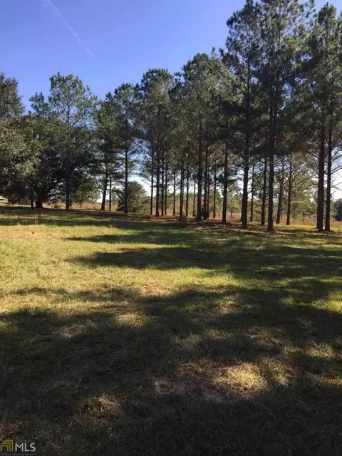 111 Lambert Ln, Sylvester, GA 31791 photo 3