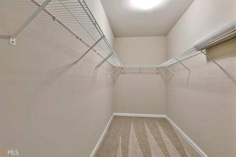 399 Panhandle Pl, Hampton, GA 30228 photo 11