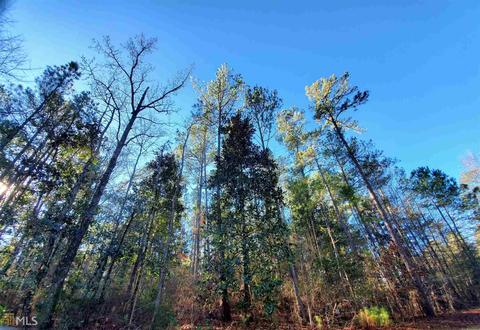 423 Highland Park Loop, Pine Mountain, GA 31822 photo 1