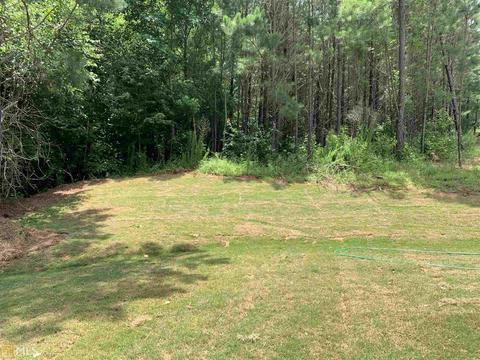 12234 Shelby Ct, Hampton, GA 30228 photo 30
