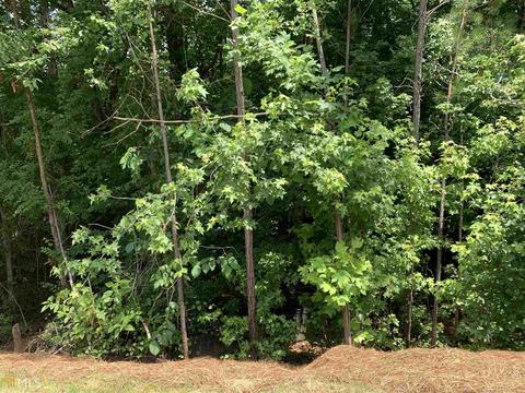 12234 Shelby Ct, Hampton, GA 30228 photo 29