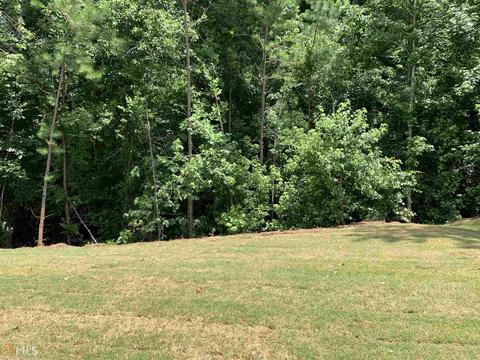 12234 Shelby Ct, Hampton, GA 30228 photo 28