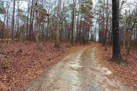 270 Patillo Rd, Jackson, GA 30233 photo 67