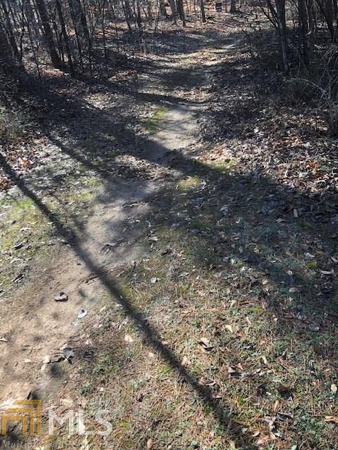 270 N Pinecrest Rd, Toccoa, GA 30577 photo 5