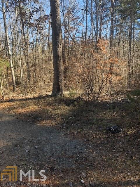 270 N Pinecrest Rd, Toccoa, GA 30577 photo 10
