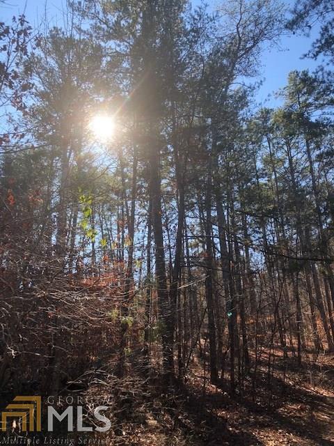 270 N Pinecrest Rd, Toccoa, GA 30577 photo 9