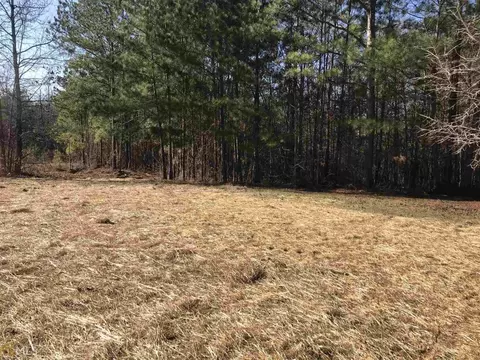 100 Bramble Bush Trl, Covington, GA 30014 photo 16