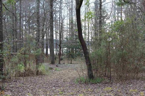 23 Waterview Ct, Lagrange, GA 30240 photo 27