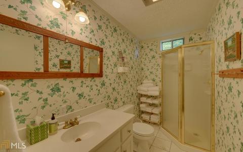 206 Alachee Trl, Tiger, GA 30576 photo 13