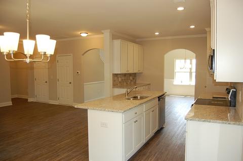 17 Thunderhawk Ln, Rydal, GA 30171 photo 16