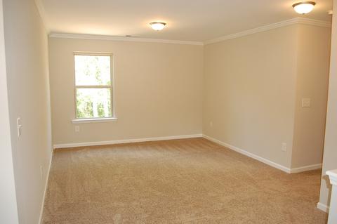 17 Thunderhawk Ln, Rydal, GA 30171 photo 19