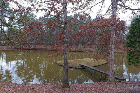 2701 S Highway 3, Hampton, GA 30228 photo 7