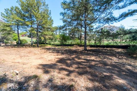 3219 Carmichael Pl, Duluth, GA 30097 photo 3