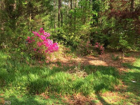 11093 Highway 36, Covington, GA 30014 photo 19