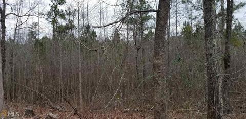 1655 Wildcat Rd, Buchanan, GA 30113 photo 5
