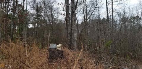 1655 Wildcat Rd, Buchanan, GA 30113 photo 4