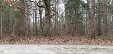 1655 Wildcat Rd, Buchanan, GA 30113 photo 6