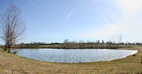1219 E Chicken Rd, Dudley, GA 31022 photo 20