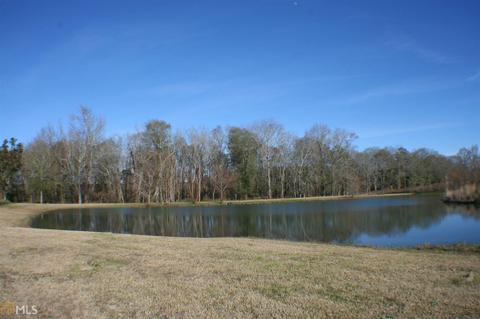 1219 E Chicken Rd, Dudley, GA 31022 photo 21