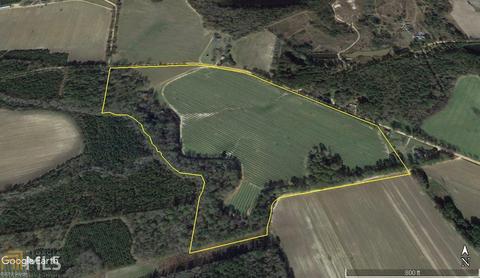 1108 Mike Brannen Rd, Register, GA 30452 photo 3