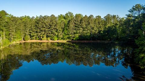 1047 Michael Rd, Monroe, GA 30656 photo 9