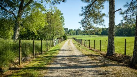 1047 Michael Rd, Monroe, GA 30656 photo 4
