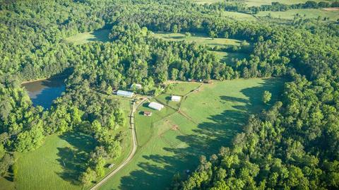 1047 Michael Rd, Monroe, GA 30656 photo 6