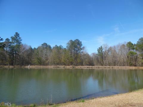 329 Whippoorwill Rd, Lyons, GA 30436 photo 17