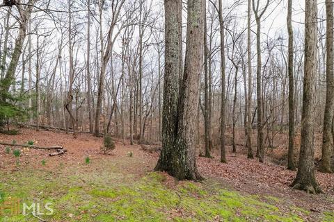 51 Lambets Way, Alpharetta, GA 30005 photo 47