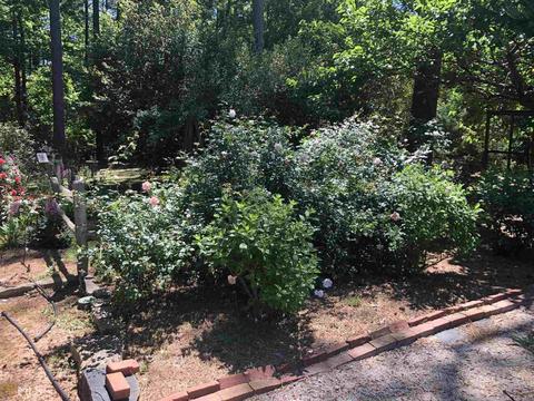 2002 Roanoke Rd, Lagrange, GA 30240 photo 16