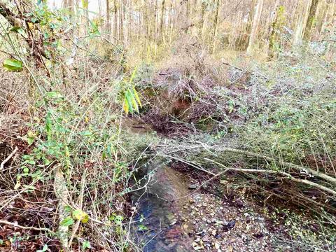 1844 Brickyard Rd, Bowdon, GA 30108 photo 5