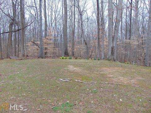 4334 E Hall Dr, Gainesville, GA 30507 photo 28