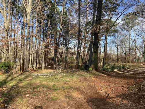 152 Carl Parker Rd, Hampton, GA 30228 photo 28
