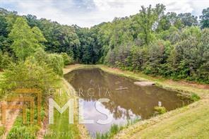 2333 Bryant Rd, Jasper, GA 30143 photo 34