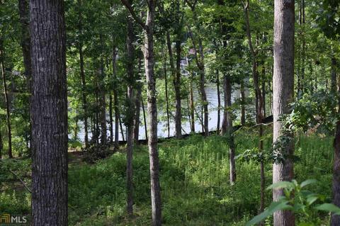 117 River Point Rd, Jackson, GA 30233 photo 3