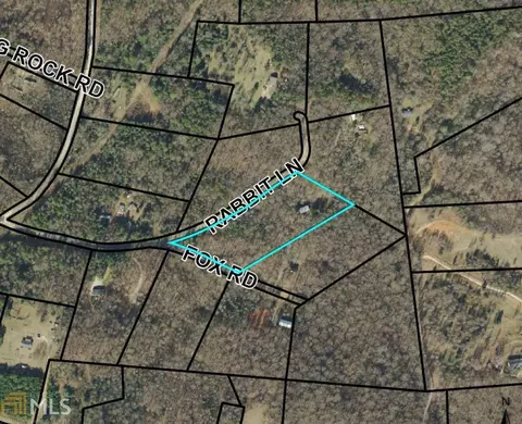 140 Rabbit Ln, Carnesville, GA 30521 photo 2