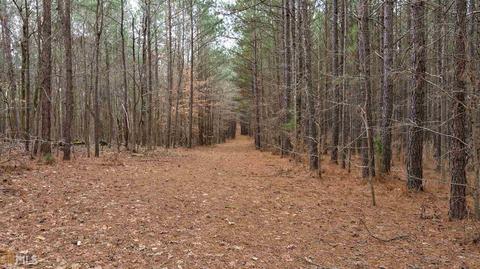 2221 Doster Rd, Madison, GA 30650 photo 42