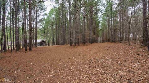 2221 Doster Rd, Madison, GA 30650 photo 43