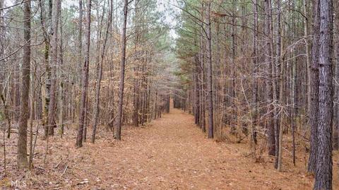 2221 Doster Rd, Madison, GA 30650 photo 41