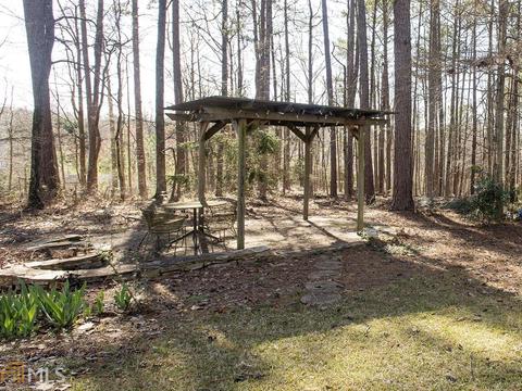 125 Shoreline Way, Hampton, GA 30228 photo 42