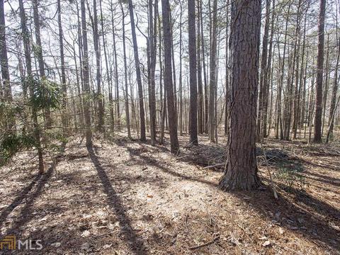 125 Shoreline Way, Hampton, GA 30228 photo 44