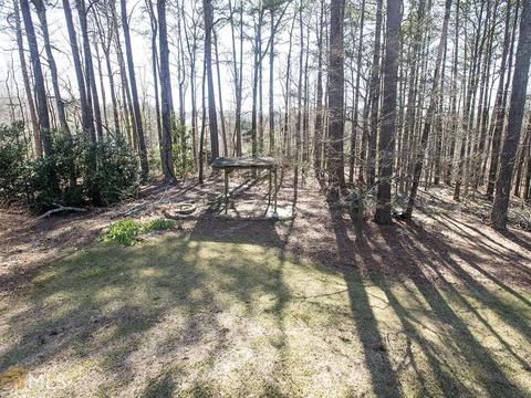 125 Shoreline Way, Hampton, GA 30228 photo 40