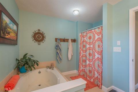 54 Collier Mill Rd, Toccoa, GA 30577 photo 37