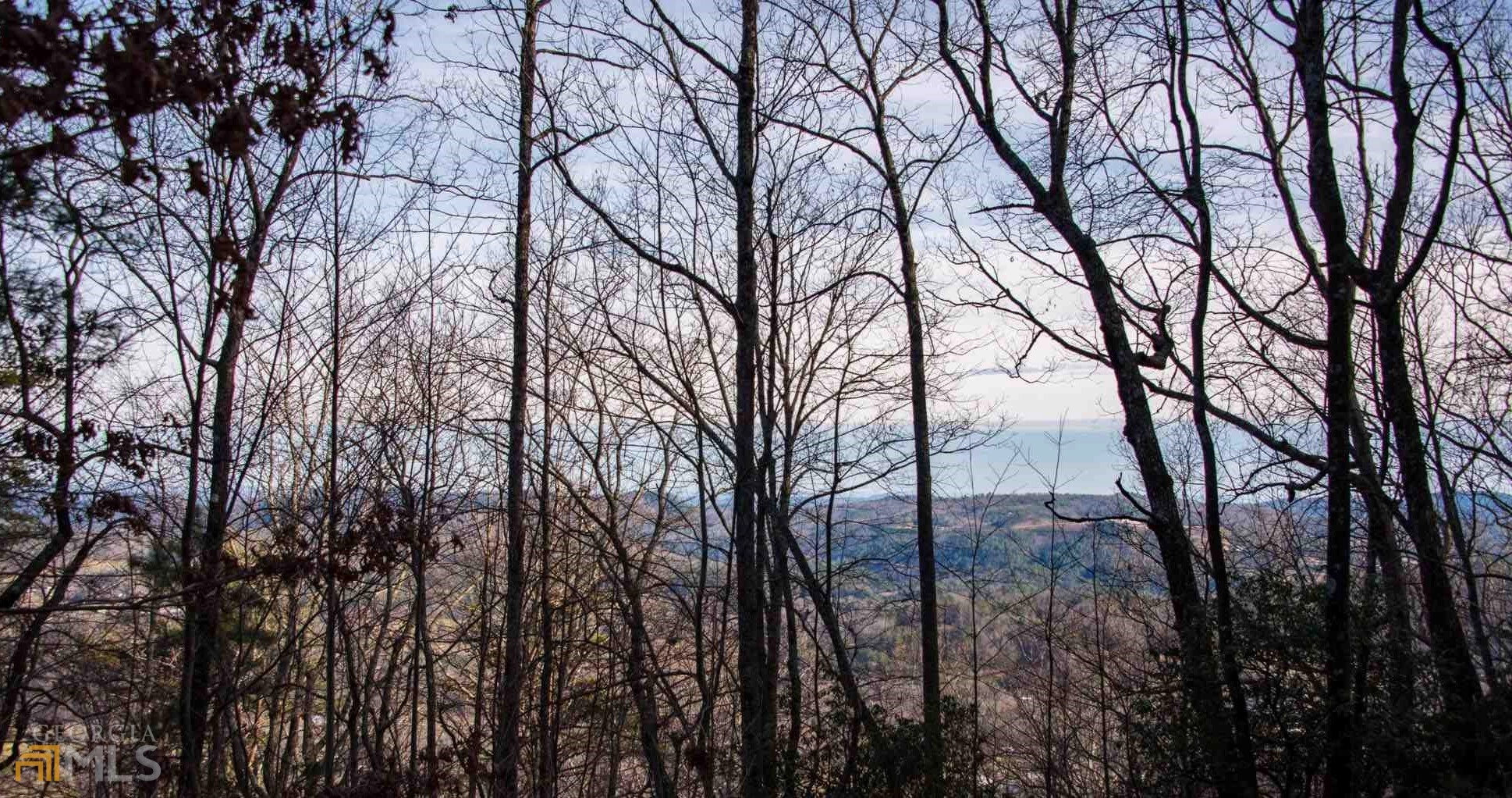 0 Top Of Tiger Unit Lot 68