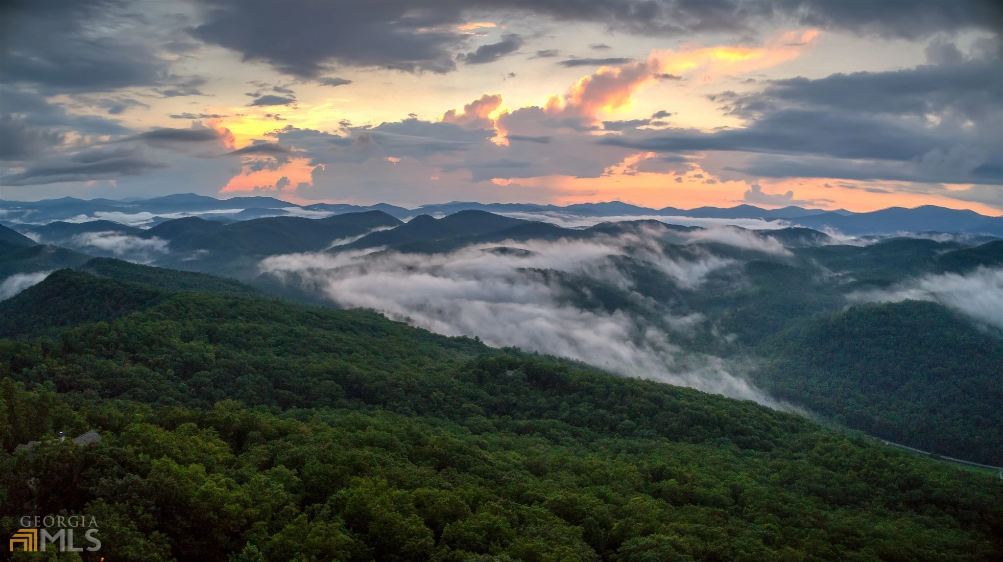 0 Top Of Tiger Unit Lot 62