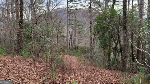 0 High Holly #1HH, Tiger, GA 30576