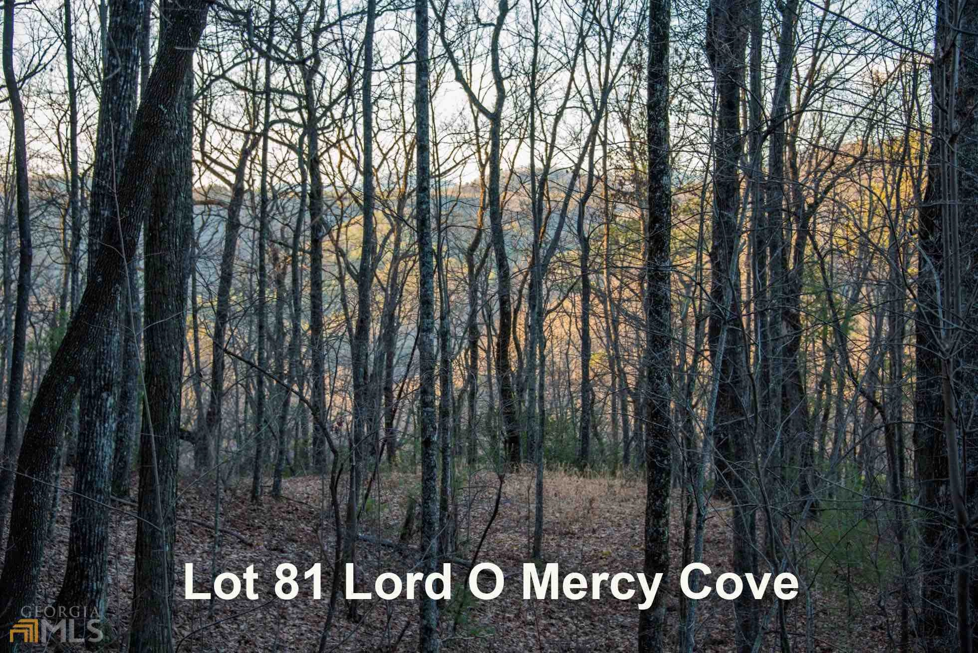 0 Eagle Eye Trl Unit 81