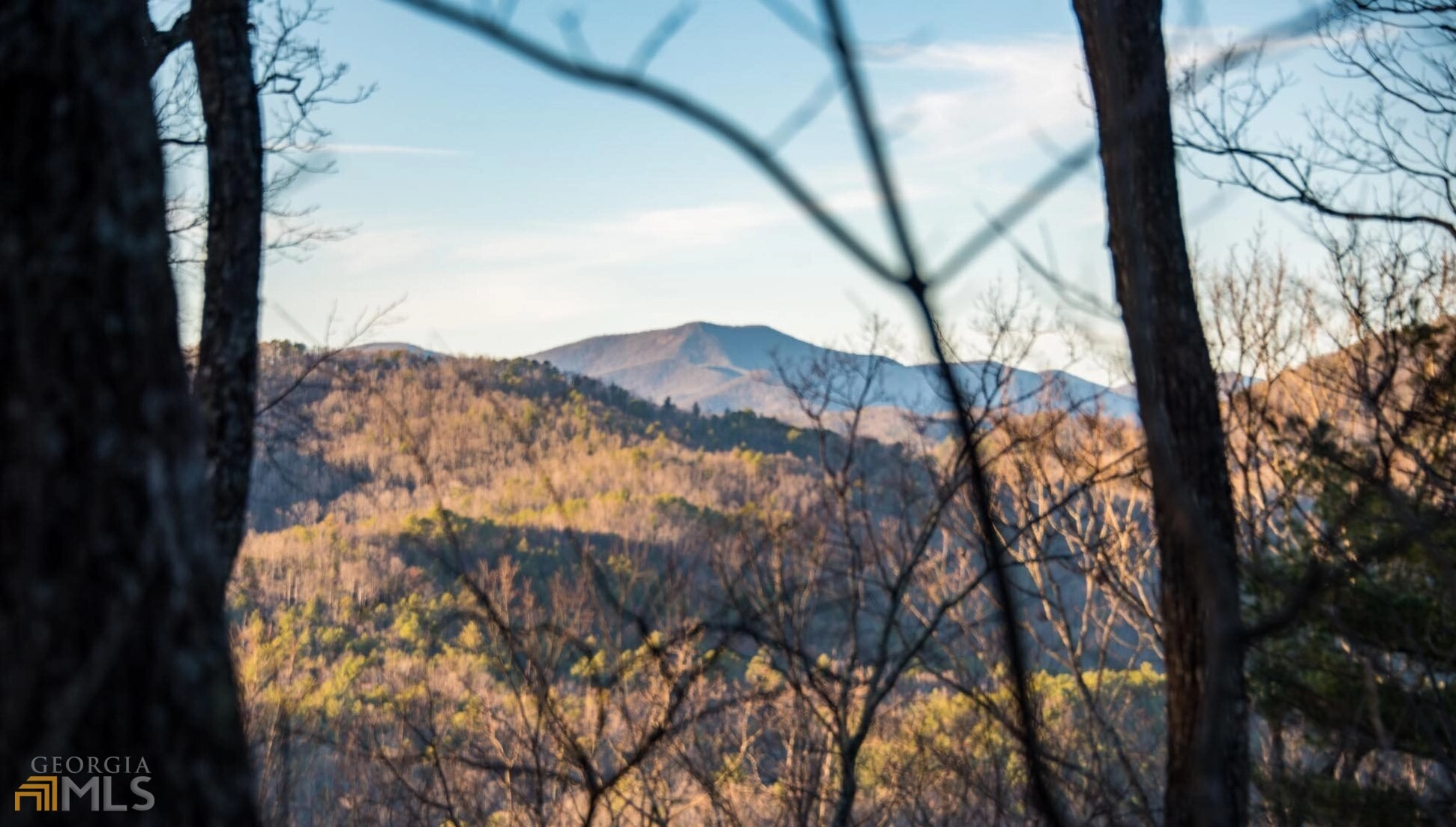 0 Eagle Eye Trl Unit 82