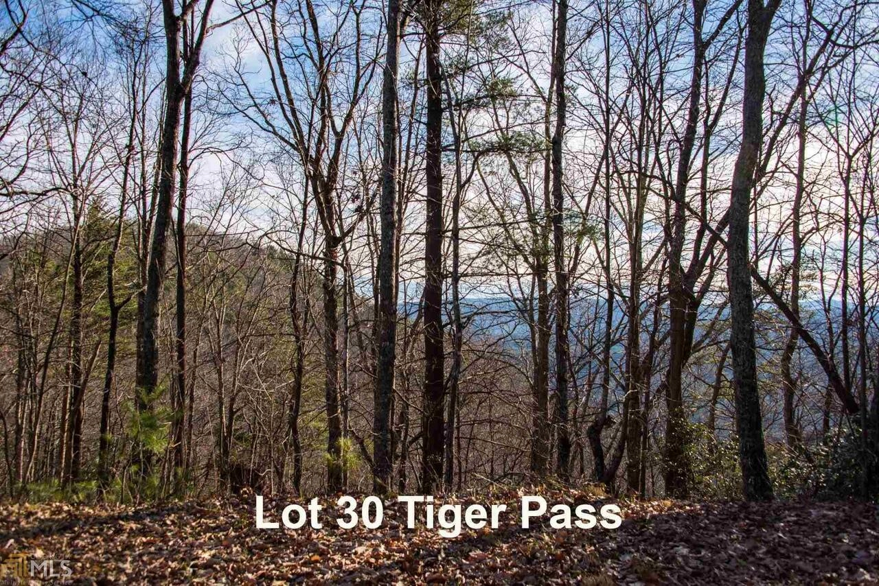 0 Tiger Pass Unit Lot 30