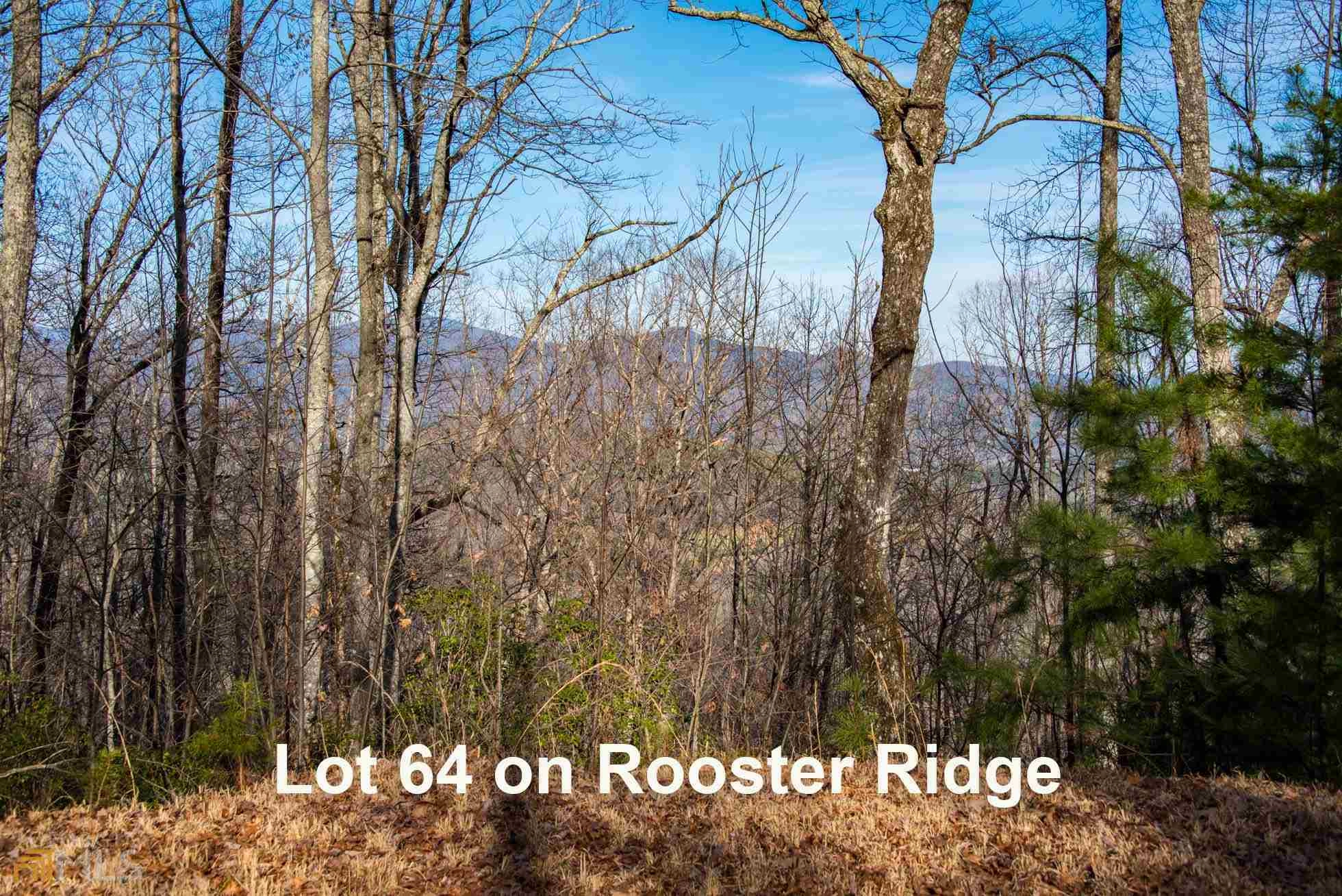 0 Top Of Tiger Unit Lot 64